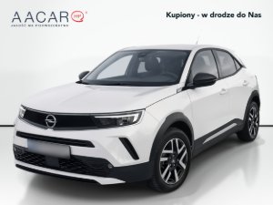 Miniaturka zdjęcia