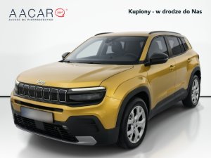 Miniaturka zdjęcia