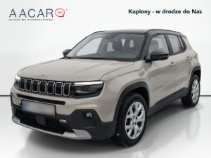 Miniaturka zdjęcia