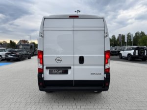 Miniaturka zdjęcia