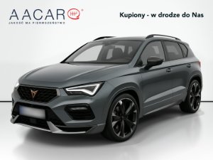 Odtwórz wideo